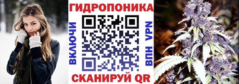 Бошки марихуана марихуана  даркнет Telegram  Адыгейск  OMG ТОР 